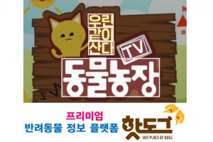 반려동물 포털앱 ‘핫도그’, TV동물농장 공식 협찬사로 나서