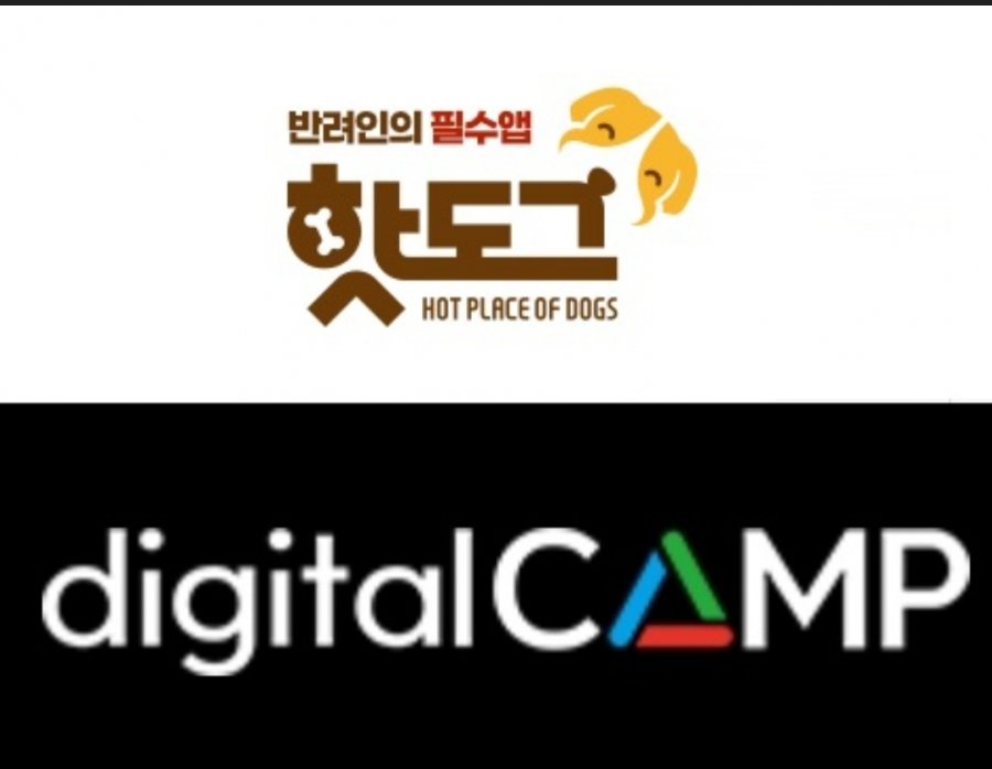 반려동물 정보플랫폼 핫도그, 글로벌 광고주의 디지털캠프와 광고대행 계약